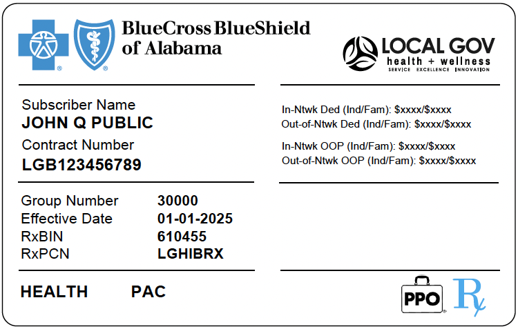 Example BCBS card for 2025